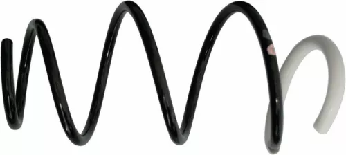 SACHS Suspension Spring (993 997)