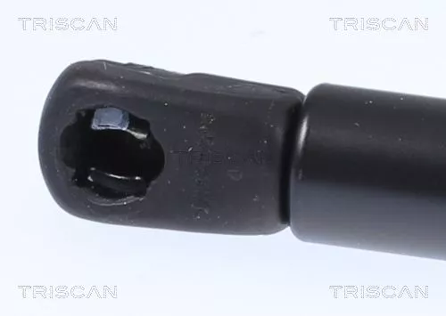 TRISCAN Gas Spring, boot/cargo area (871023297)