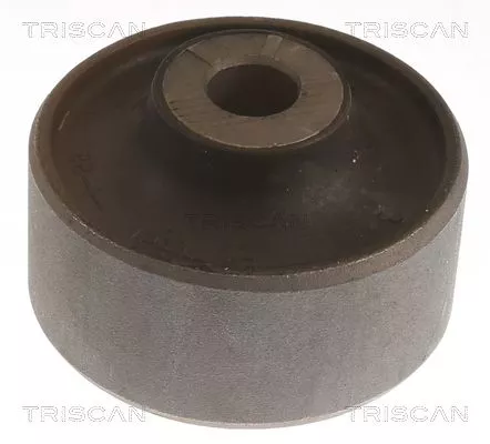 TRISCAN Mounting, control/trailing arm (8500298084)