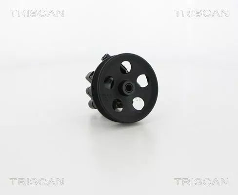 TRISCAN Hydraulic Pump, steering (851524629)