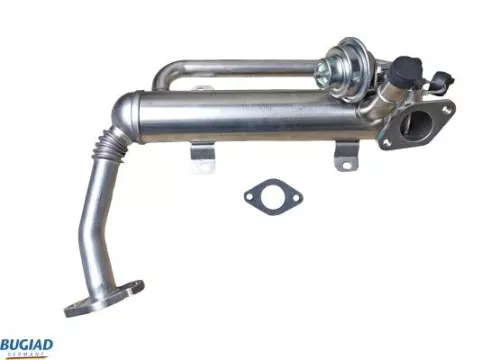 BUGIAD EGR Valve (BGR13105)