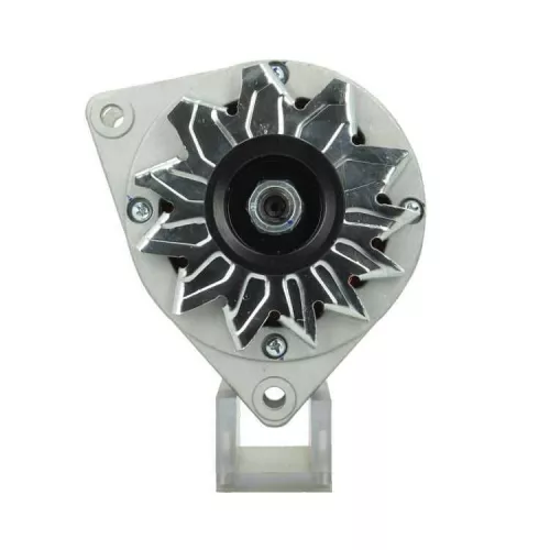 BV PSH Alternator (555.013.070.011)