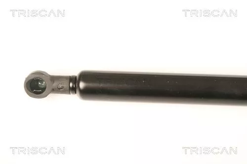 TRISCAN Gas Spring, boot/cargo area (871025245)