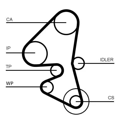 CONTINENTAL CTAM Timing Belt Kit (CT1162K5)