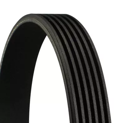 CONTINENTAL CTAM V-Ribbed Belt (6PK1124ELAST)
