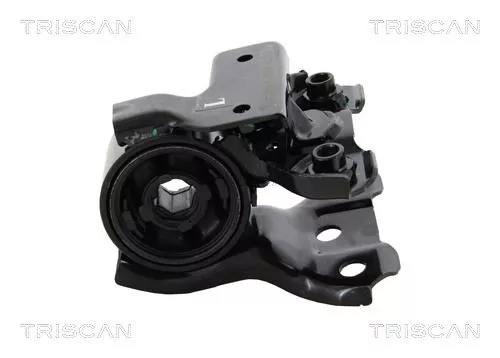 TRISCAN Mounting, control/trailing arm (850040812)