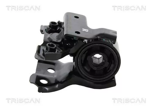 TRISCAN Mounting, control/trailing arm (850040811)