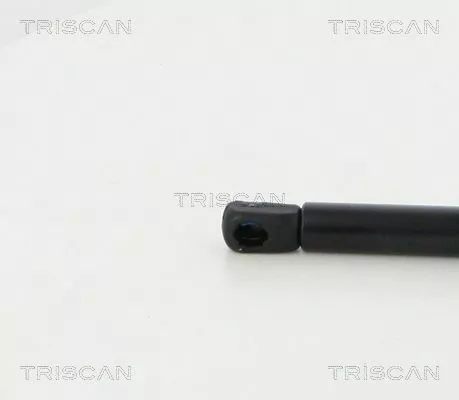 TRISCAN Gas Spring, boot/cargo area (871038246)