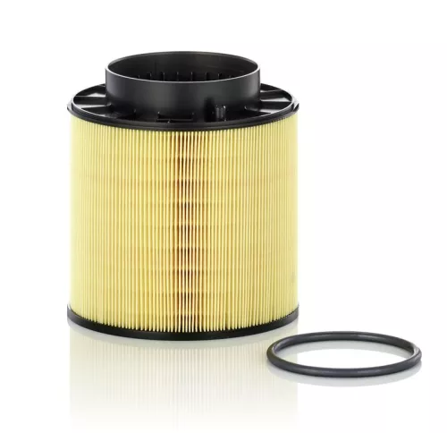 MANN-FILTER Air Filter (C16114/2X)