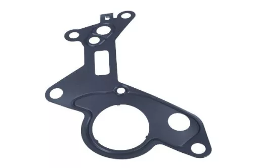 MAXGEAR Gasket, vacuum pump (70-0108)