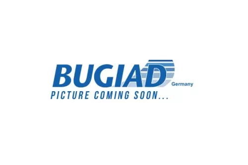 BUGIAD Steering Knuckle, wheel suspension (BSP25135PROKIT)