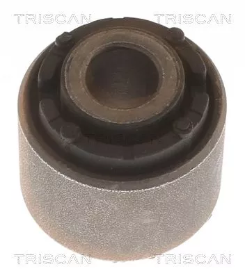 TRISCAN Mounting, control/trailing arm (850043863)