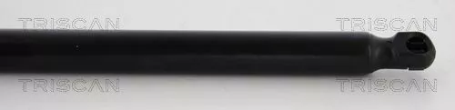TRISCAN Gas Spring, boot/cargo area (871024242)