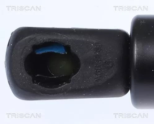TRISCAN Gas Spring, boot/cargo area (871016280)