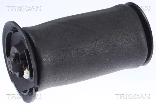 TRISCAN Air Spring, suspension (872011202)