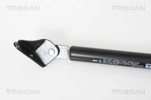 TRISCAN Gas Spring, boot/cargo area (871050239)