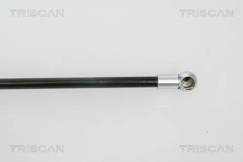 TRISCAN Gas Spring, boot/cargo area (871050239)