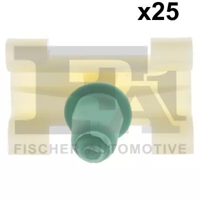 Clip, trim/protection strip