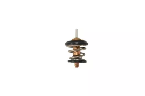 MAHLE Thermostat, coolant (TX46095D)