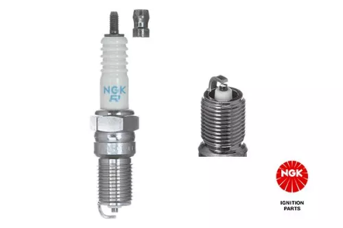 NGK Spark Plug (2223)
