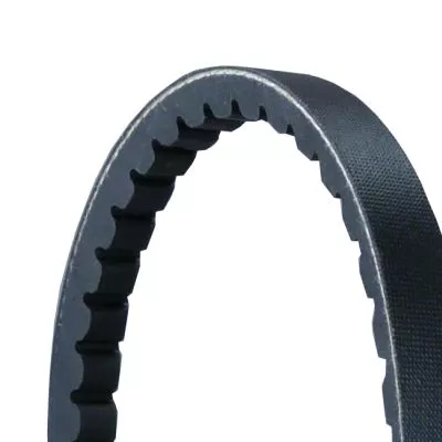 CONTINENTAL CTAM V-Belt (AVX13X920)