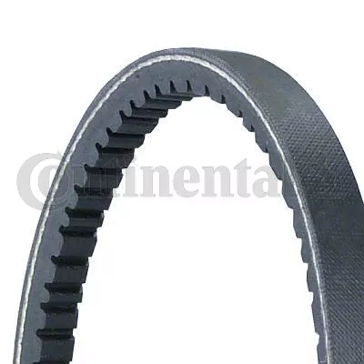 CONTINENTAL CTAM V-Belt (11,5X745Ld)