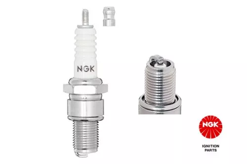 NGK Spark Plug (7310)