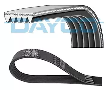 DAYCO V-ribbed Belt (5PK915)