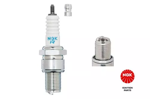 NGK Spark Plug (3570)