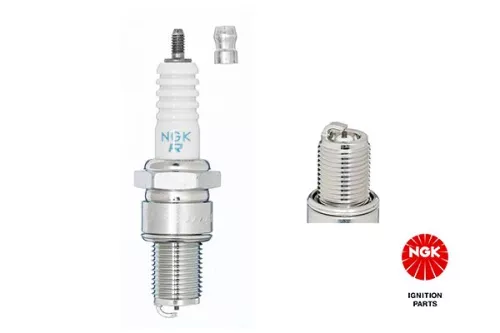 NGK Spark Plug (3130)