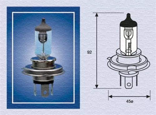 Bulb