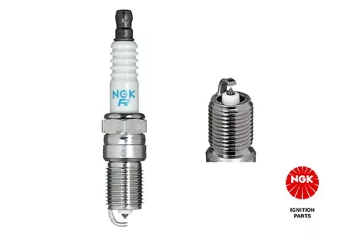 NGK Spark Plug (7569)