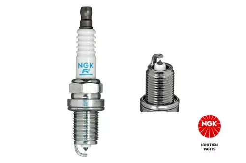 NGK Spark Plug (5555)