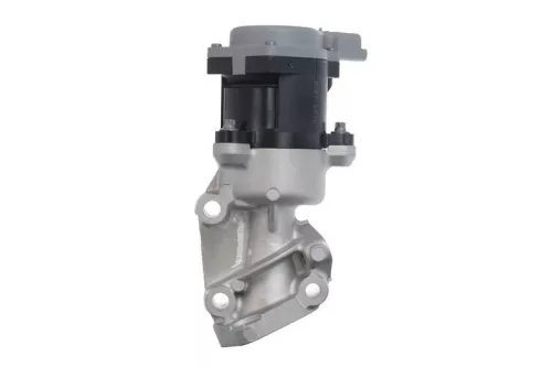 VALEO EGR Valve (700410)