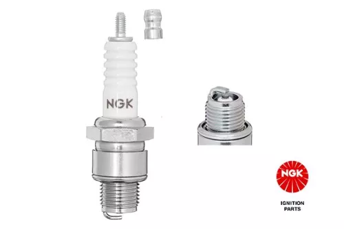 NGK Spark Plug (5810)