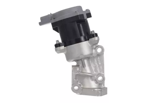 VALEO EGR Valve (700411)