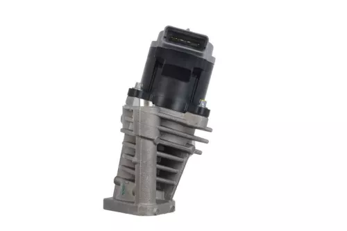 VALEO EGR Valve (700408)