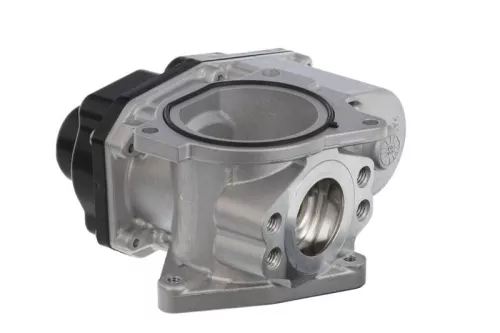 VALEO EGR Valve (700424)