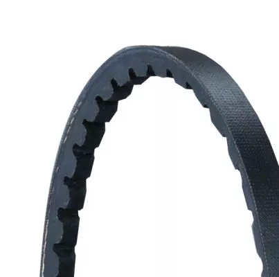 CONTINENTAL CTAM V-Belt (AVX10X710)