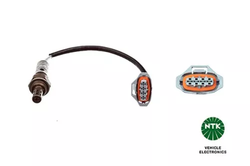 Oxygen Sensor