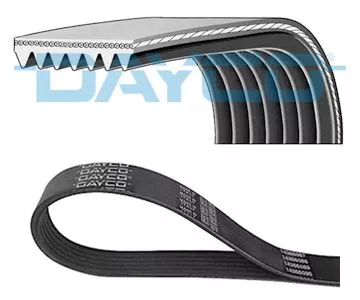 DAYCO V-ribbed Belt (7PK2535)