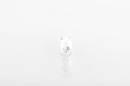 BOSCH Bulb (1 987 302 218)