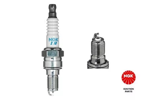 NGK Spark Plug (6544)