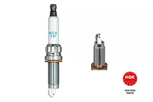 NGK Spark Plug (1555)