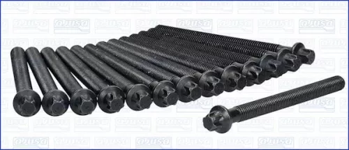 AJUSA Cylinder Head Bolt Set (81024300)