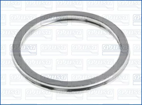 Seal Ring, exhaust pipe