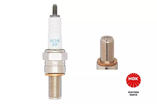 NGK Spark Plug (4216)