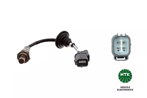 Oxygen Sensor