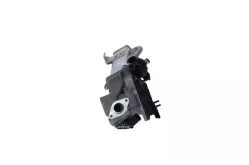 NRF EGR Valve (48205)