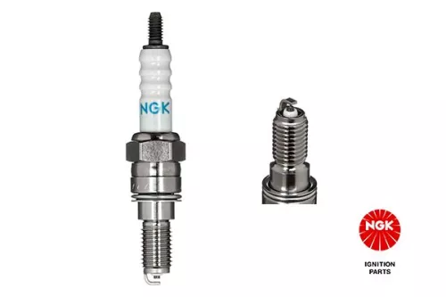 NGK Spark Plug (5606)